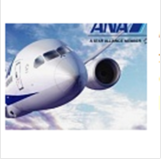 ANA All Nippon Airways pristatymas