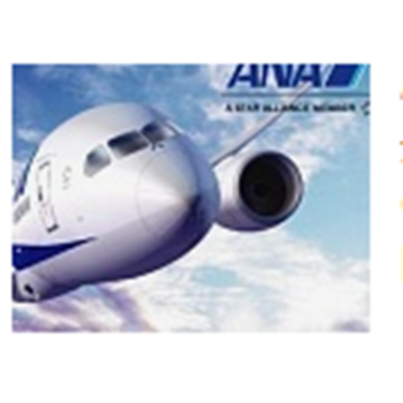 ANA Visi „Nippon Airways“